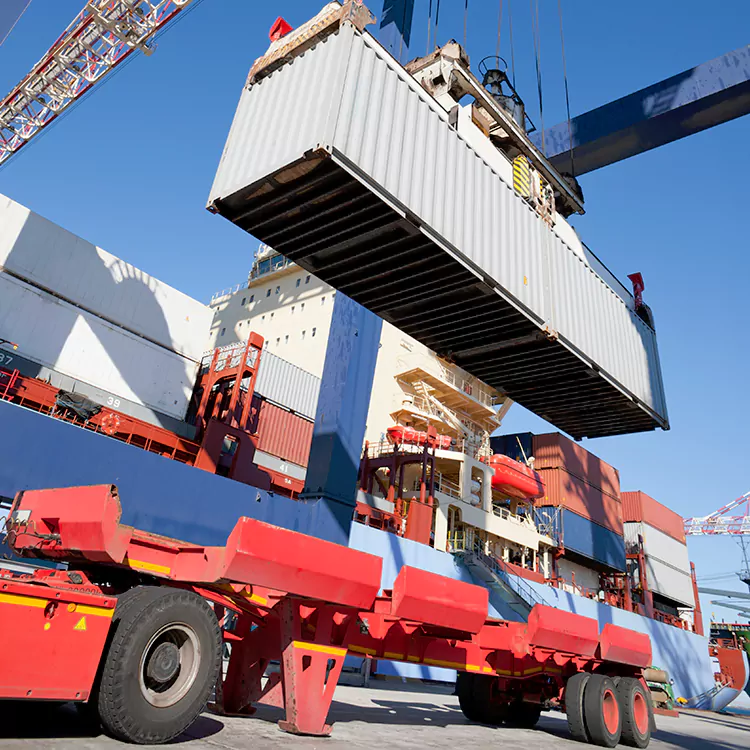 Transport Planning in Georgia Matched to Your Load and Route